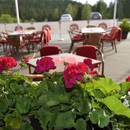 Rosa Harrachov